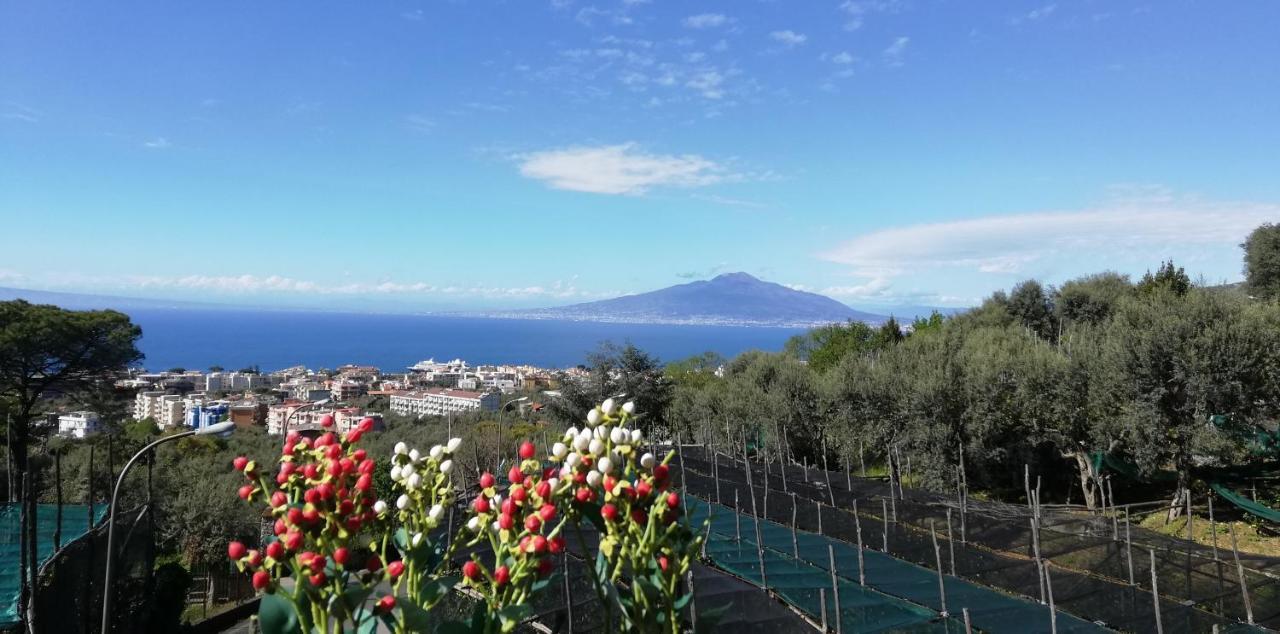 Sorrento Dolce Casa Apartment Exterior photo