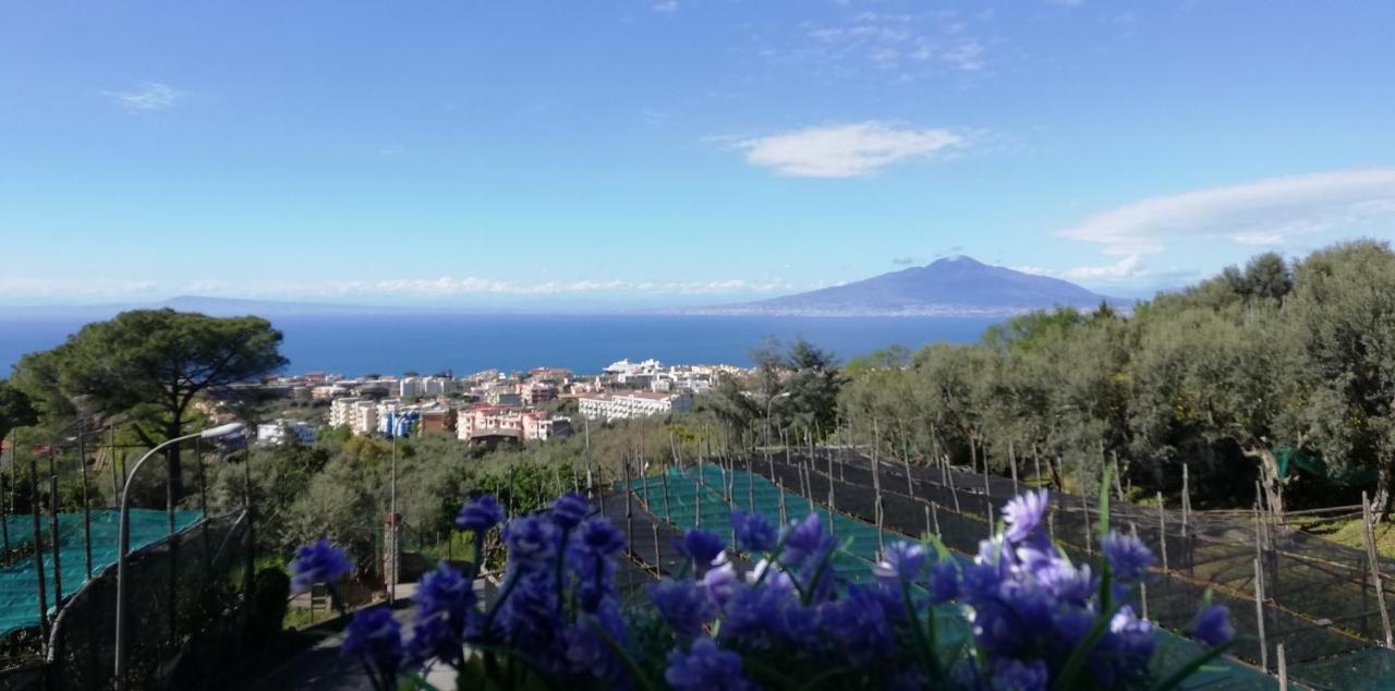 Sorrento Dolce Casa Apartment Exterior photo